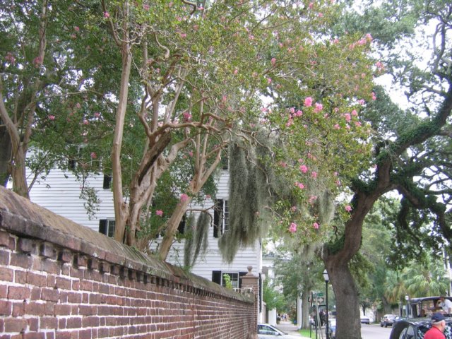 charlestonhistoricdistrict16.jpg