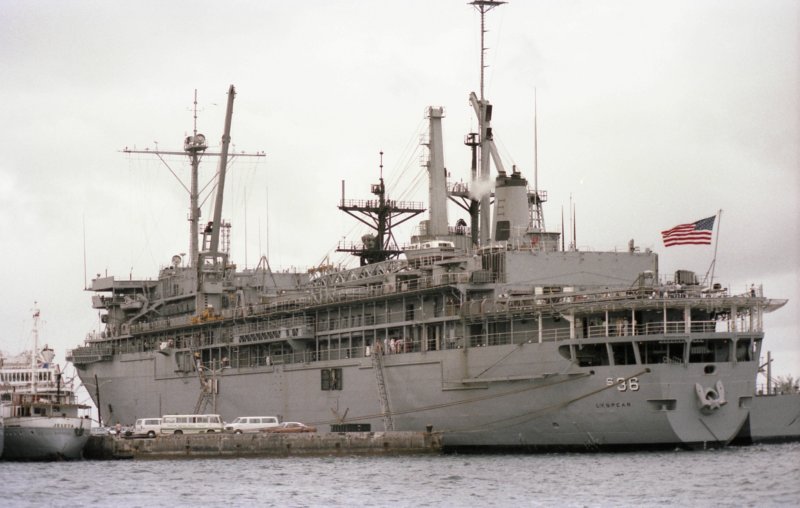 lyspearinbahamas1984.jpg