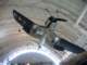 nationalairspacemuseum4_small.jpg